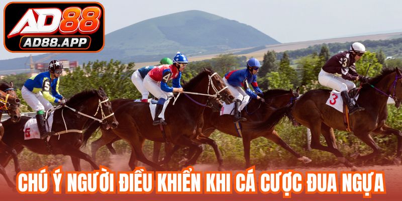 Chú ý người điều khiển khi cá cược đua ngựa 